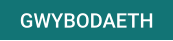 GWYBODAETH